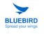Bluebird Pidion